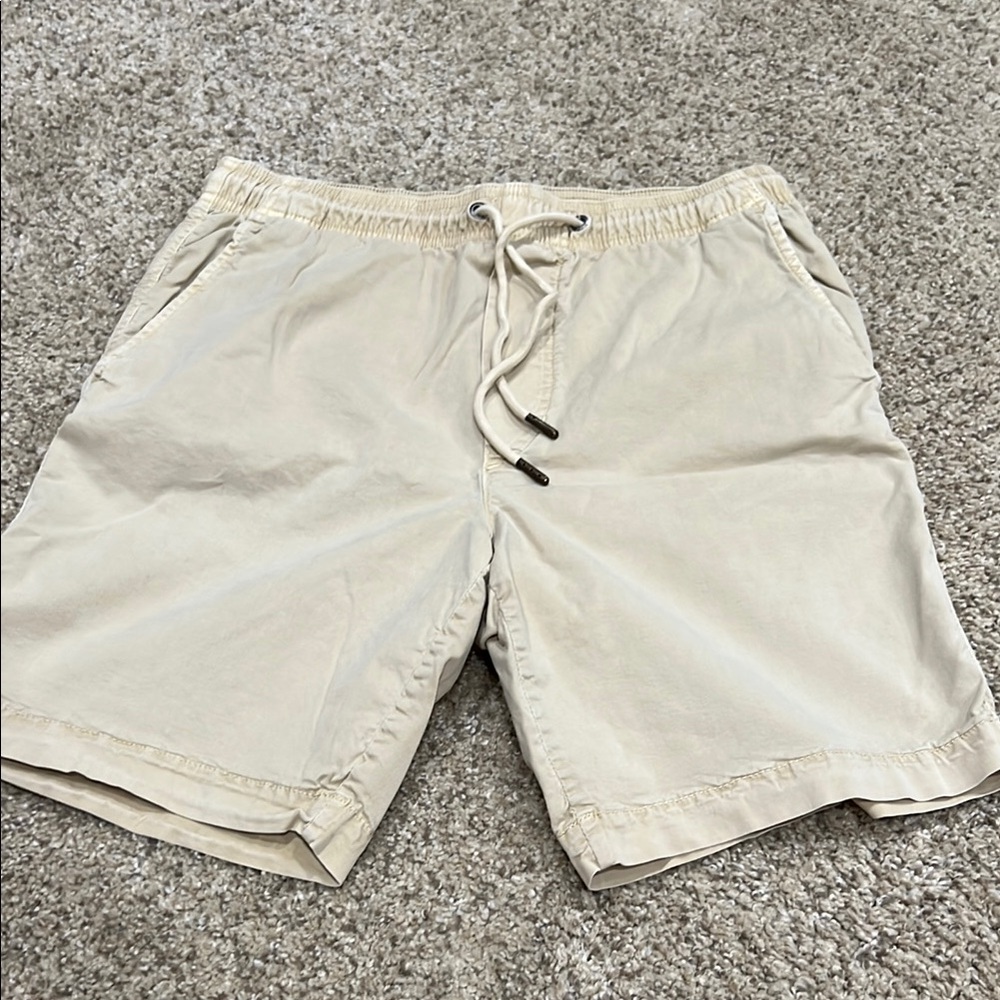 American Eagle Men’s Shorts